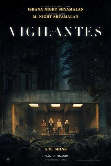 Los vigilantes