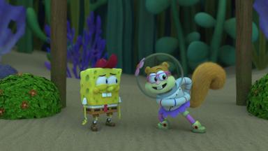 Kampamento Koral: Bob Esponja primeras aventuras 1x4