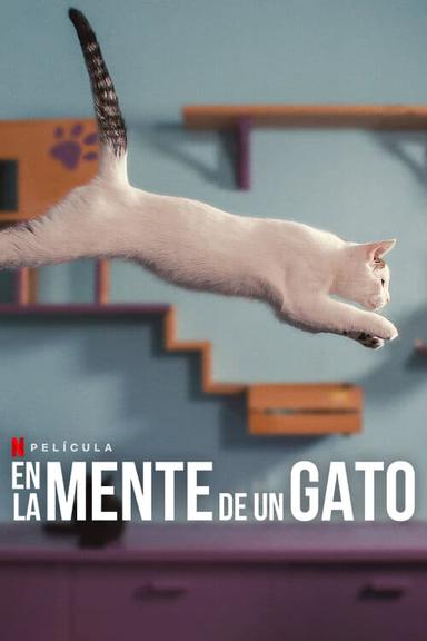 En la mente de un gato