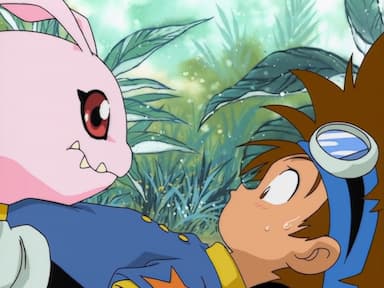 Digimon Adventure 1x1